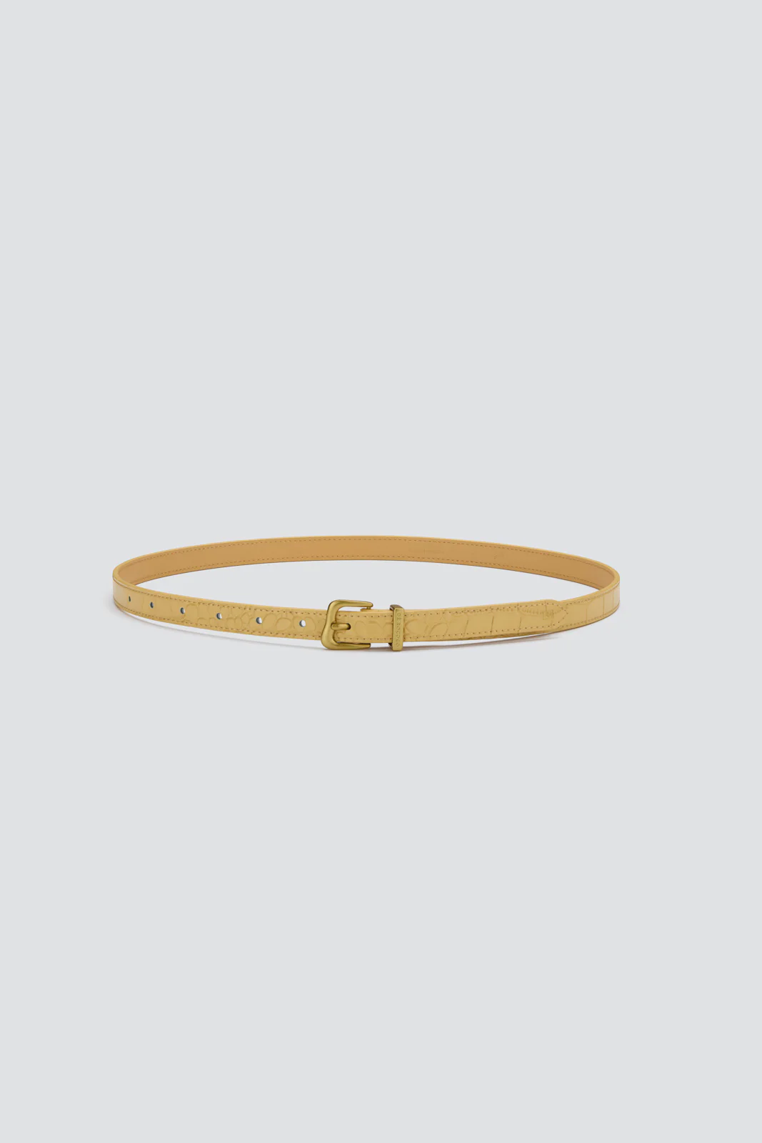DR Croco Belt - Image 5