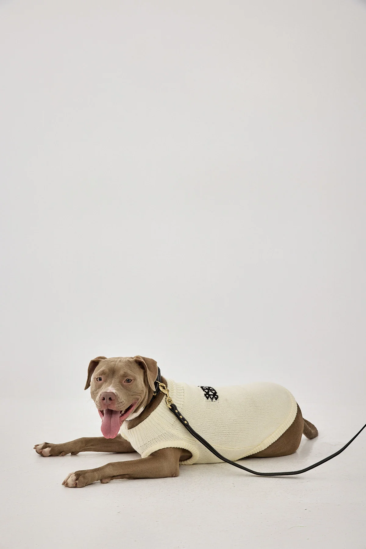 Mini Me Dog Intarsia Jumper - Image 4