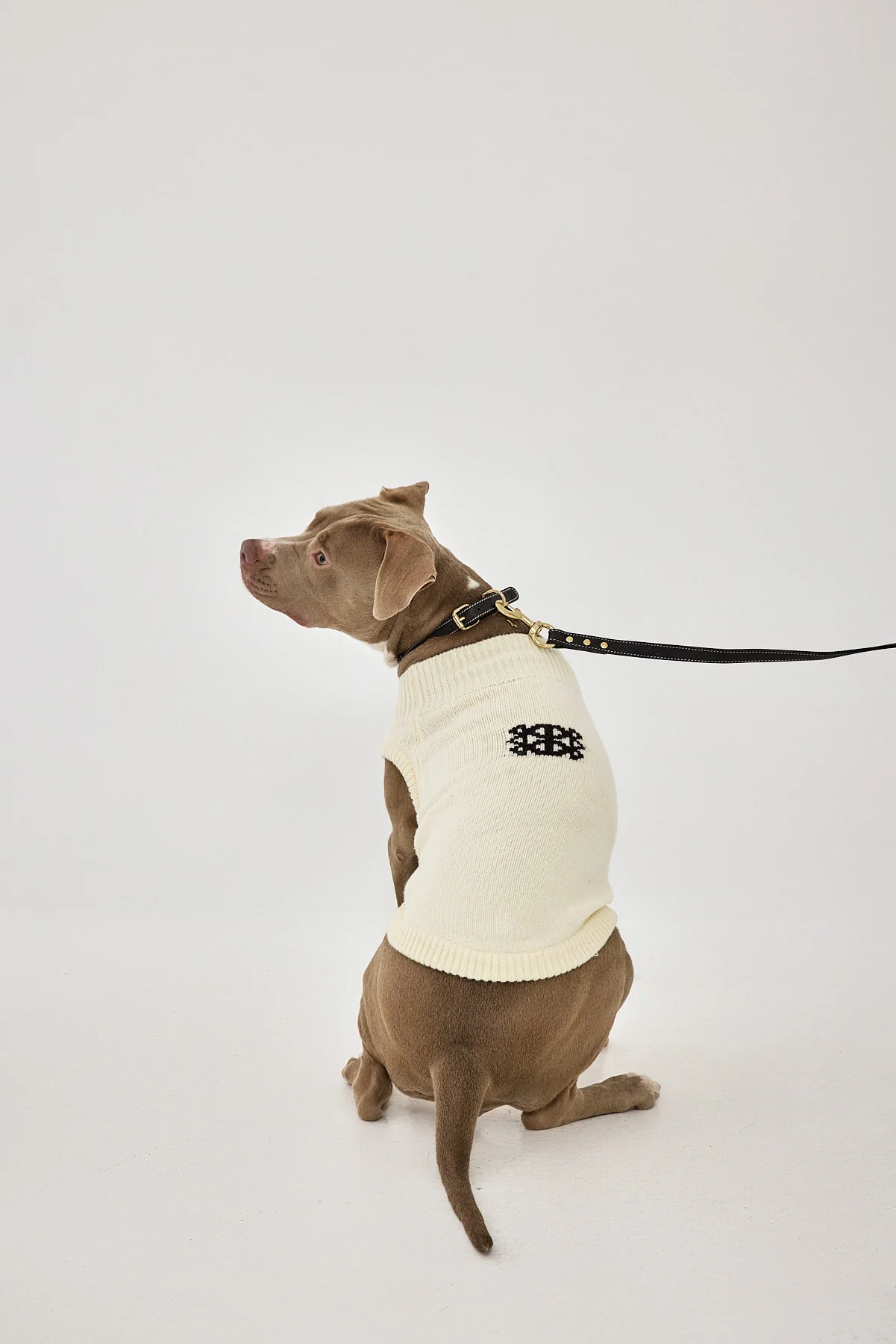 Mini Me Dog Intarsia Jumper - Image 7