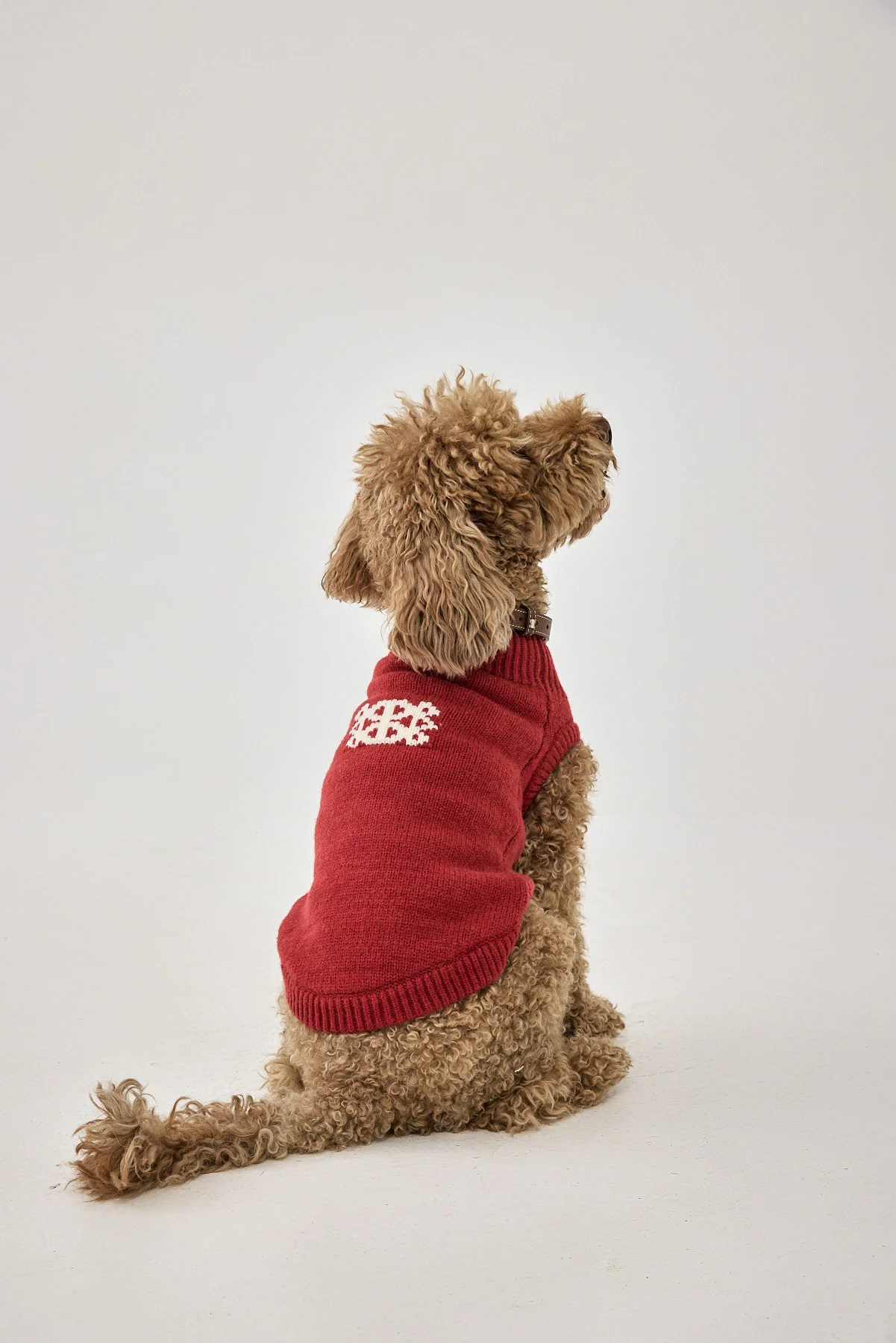 Mini Me Dog Intarsia Jumper - Image 5