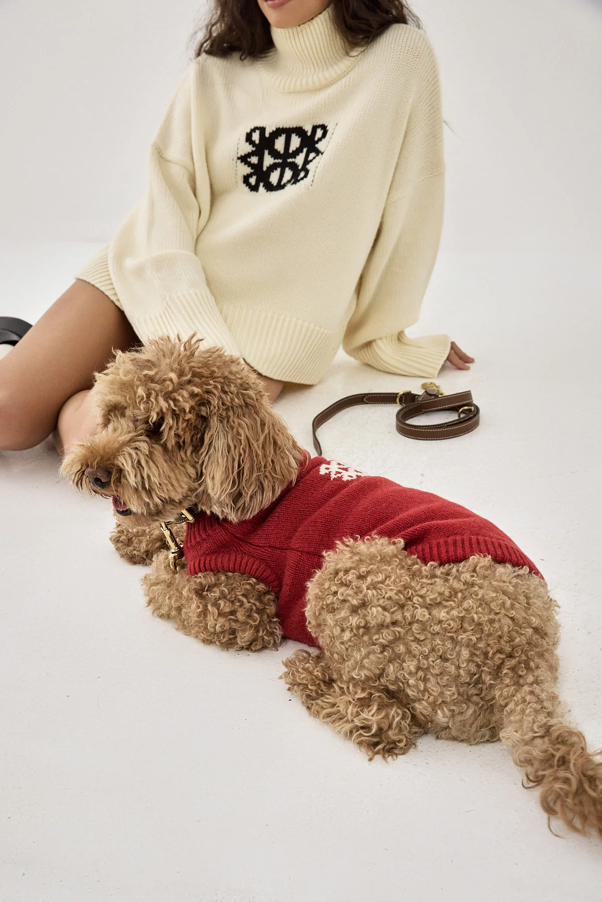 Mini Me Dog Intarsia Jumper - Image 7