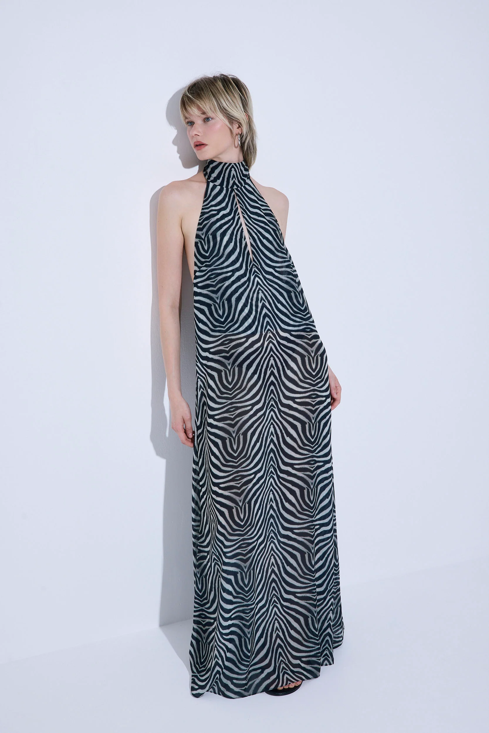 Semi Sheer Collar Maxi Dress - Image 3