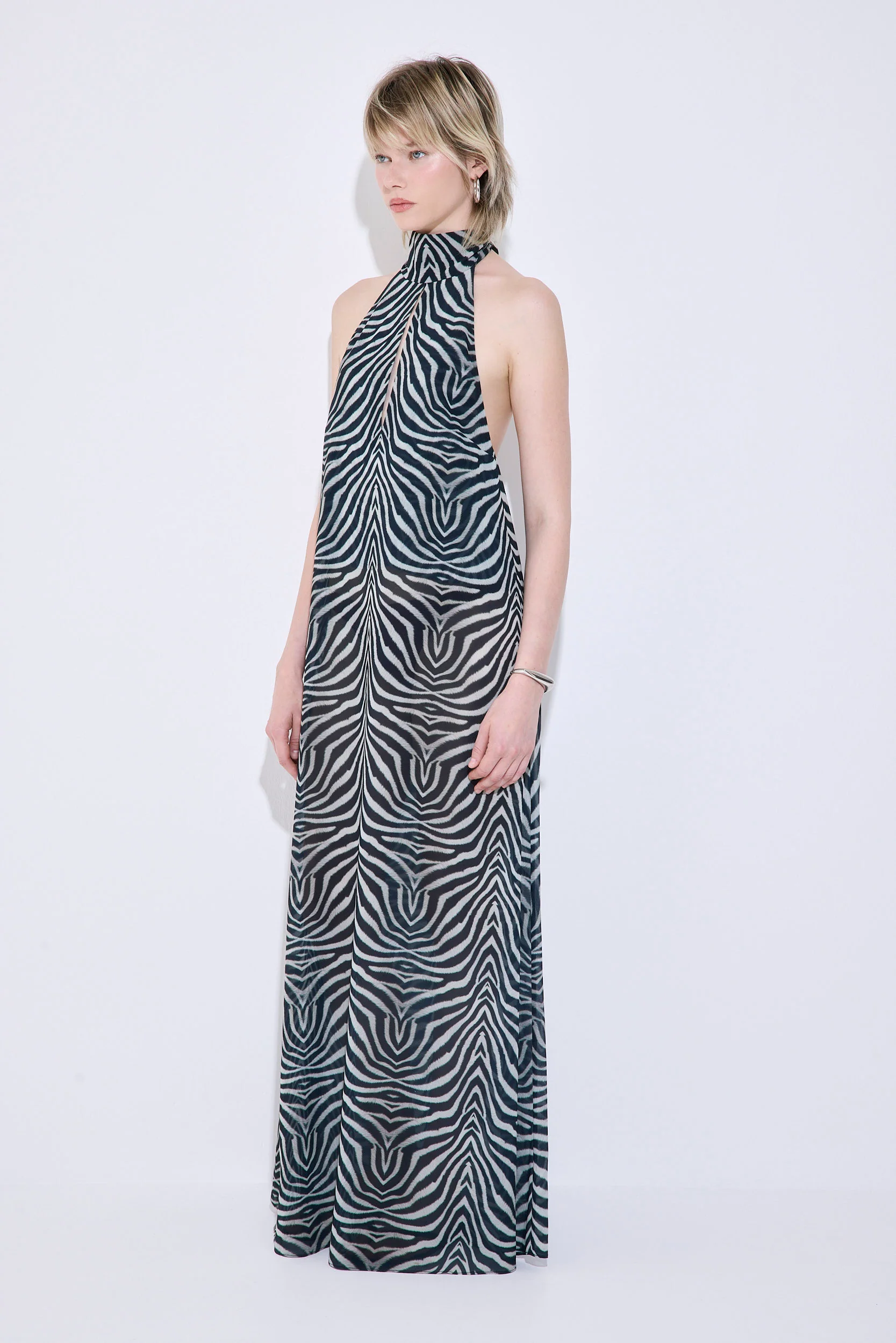 Semi Sheer Collar Maxi Dress - Image 4